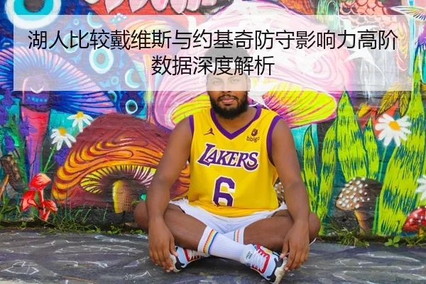 湖人比较戴维斯与约基奇防守影响力高阶数据深度解析